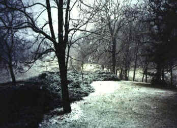 First Dusting of Snow