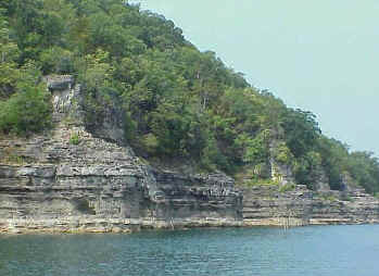 Bluffs on Bull Shoals Lake